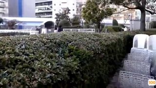 日韩无码.亚洲外汇网在线a 日本一区二区在线看_国产在线精品观看一区欧美国产精品不卡在线观看_国产亚洲一区二区手机在线观看